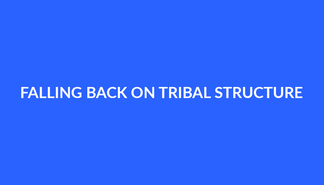 FALLING BACK ON TRIBAL STRUCTURE